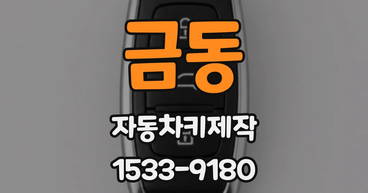 금동 자동차키제작