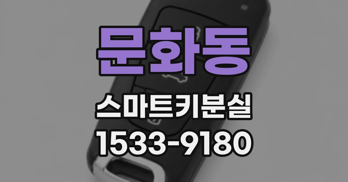 문화동 스마트키분실