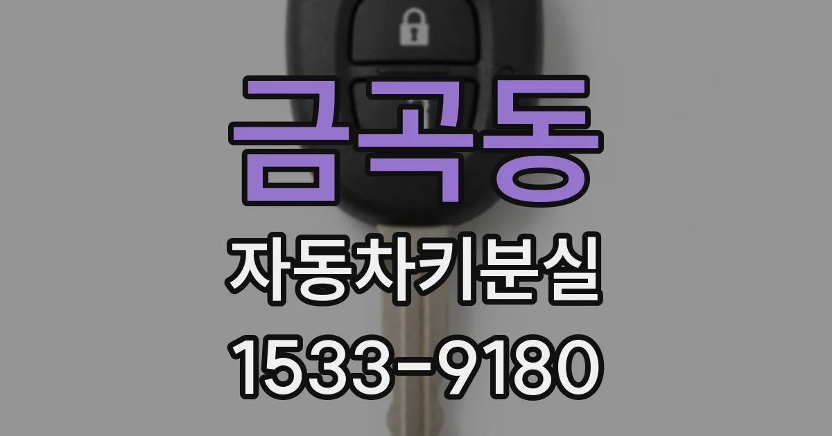 금곡동 자동차키분실