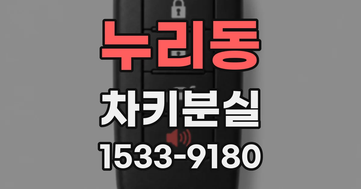 누리동 차키분실