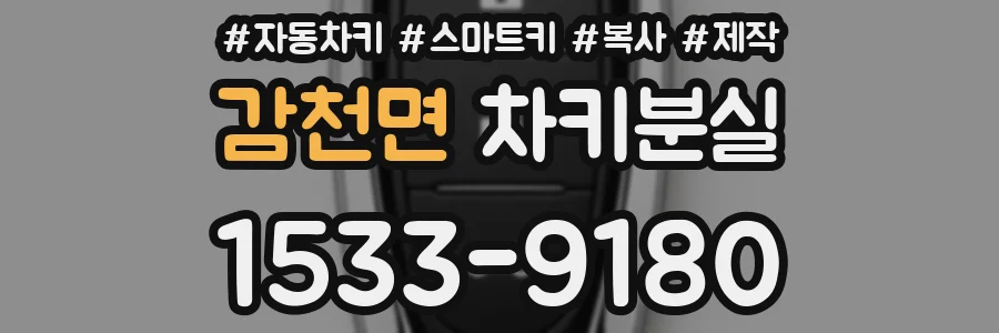 감천면 차키분실