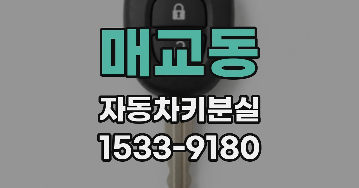 매교동 자동차키분실