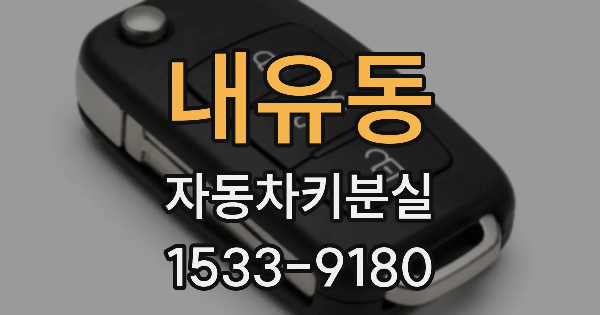 내유동 자동차키분실