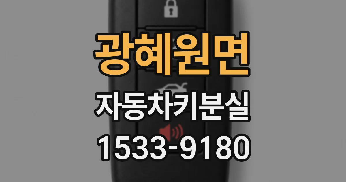 광혜원면 자동차키분실