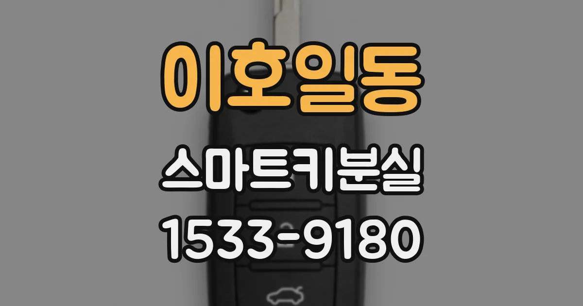 이호일동 스마트키분실