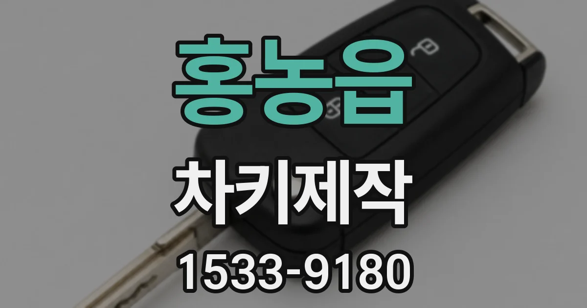 홍농읍 차키제작