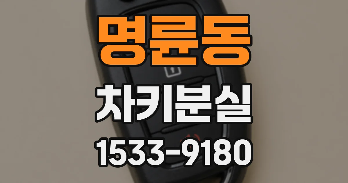 명륜동 차키분실