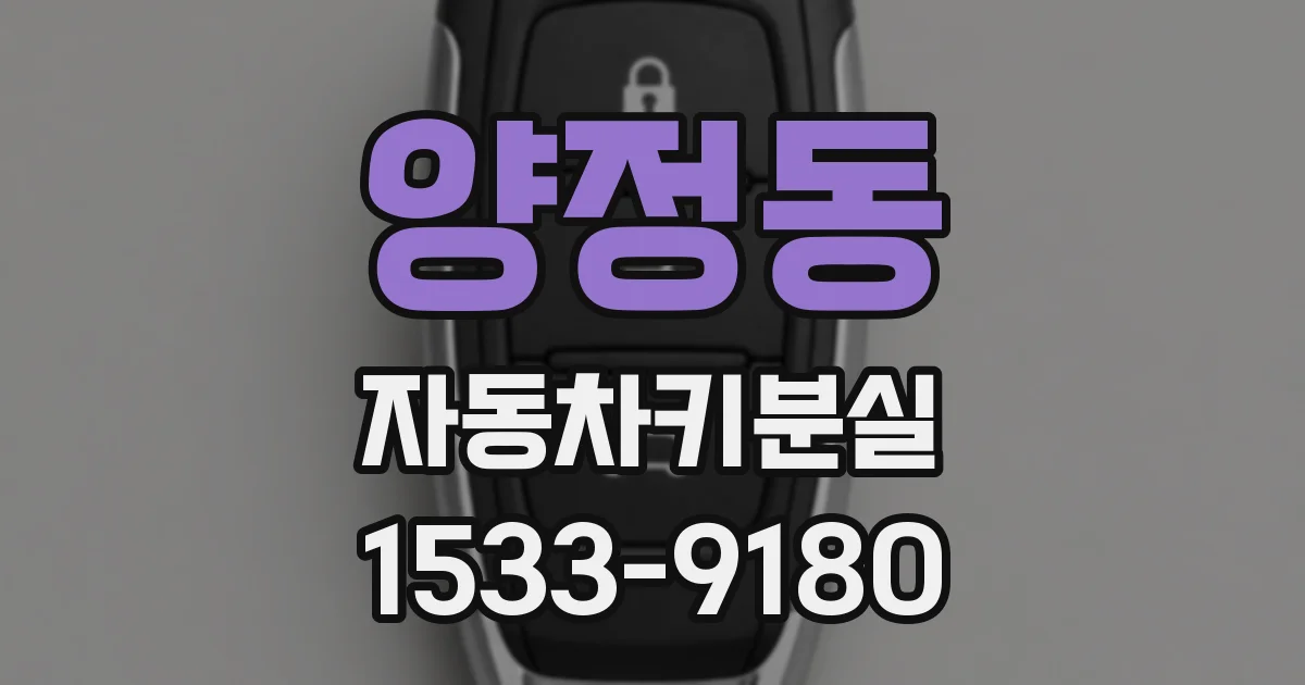 양정동 자동차키분실