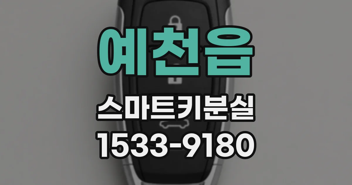 예천읍 스마트키분실