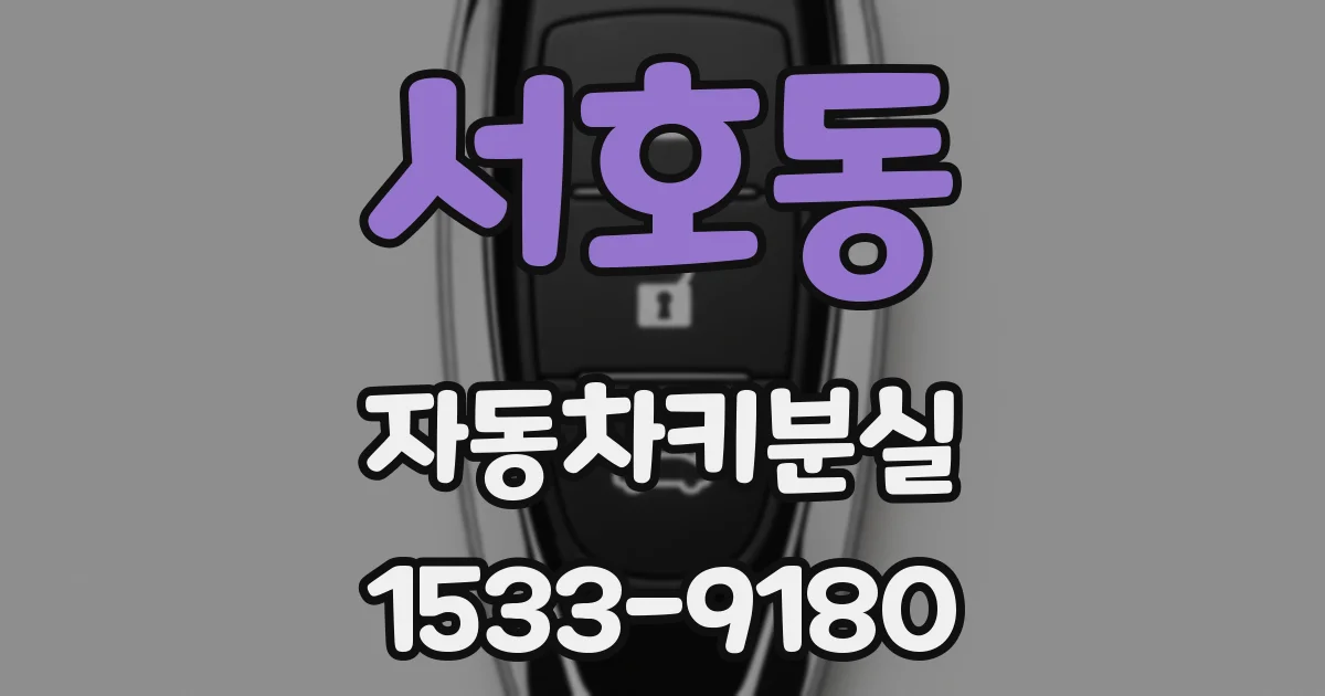 서호동 자동차키분실