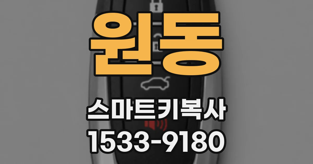 원동 스마트키복사