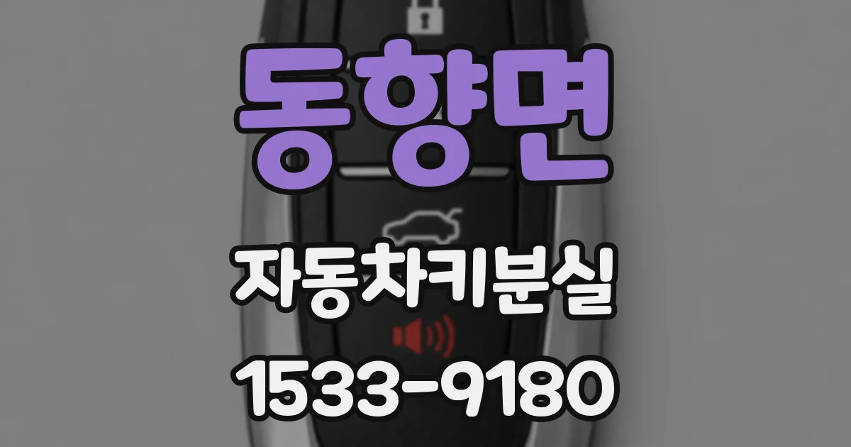 동향면 자동차키분실