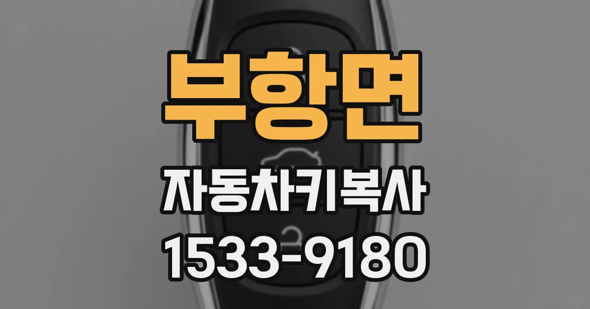 부항면 자동차키복사