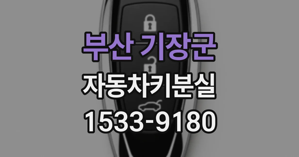 부산 기장군 자동차키분실