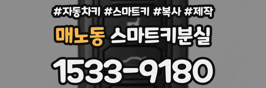 매노동 스마트키분실