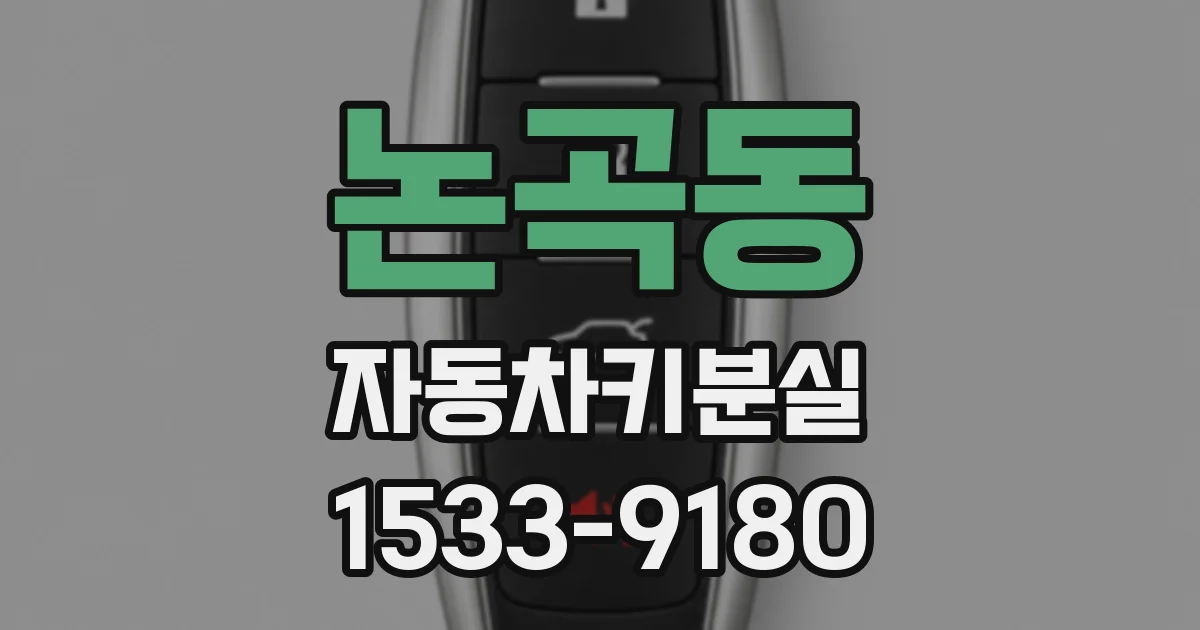 논곡동 자동차키분실