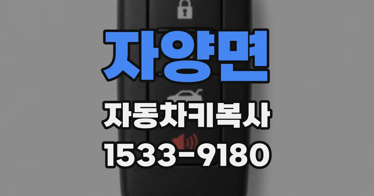 자양면 자동차키복사