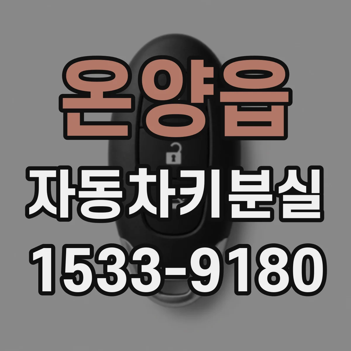 온양읍 자동차키분실