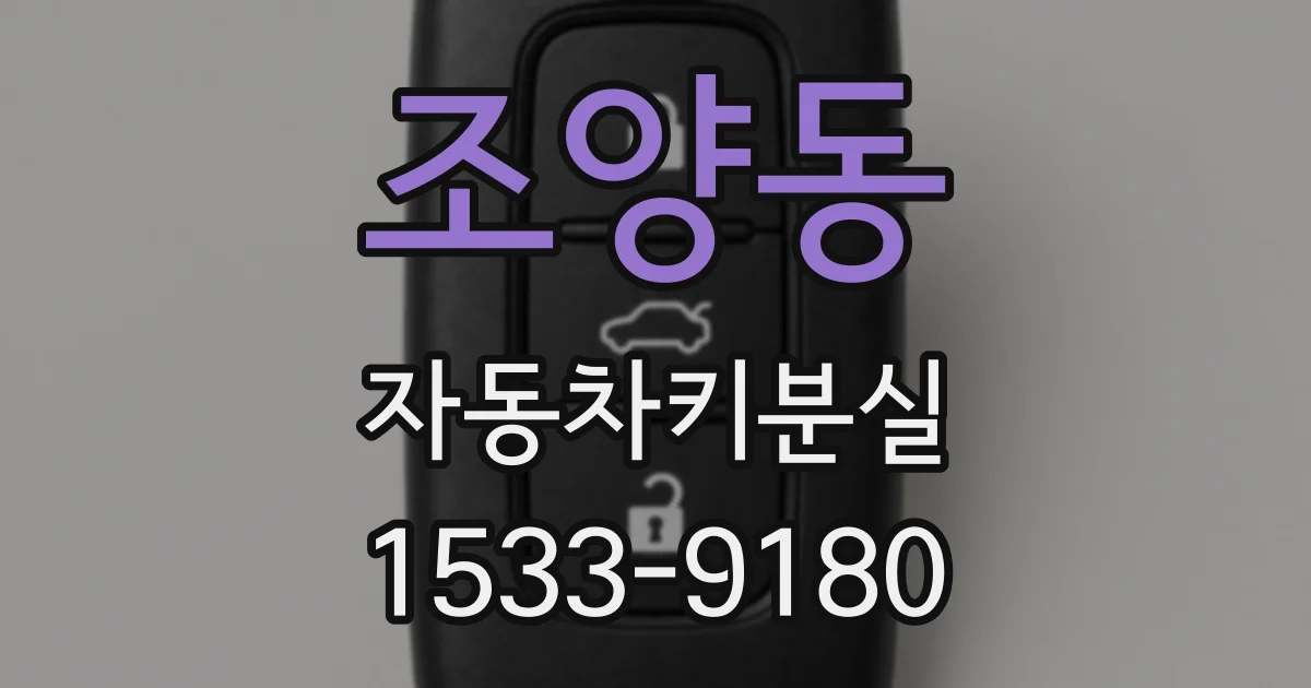 조양동 자동차키분실