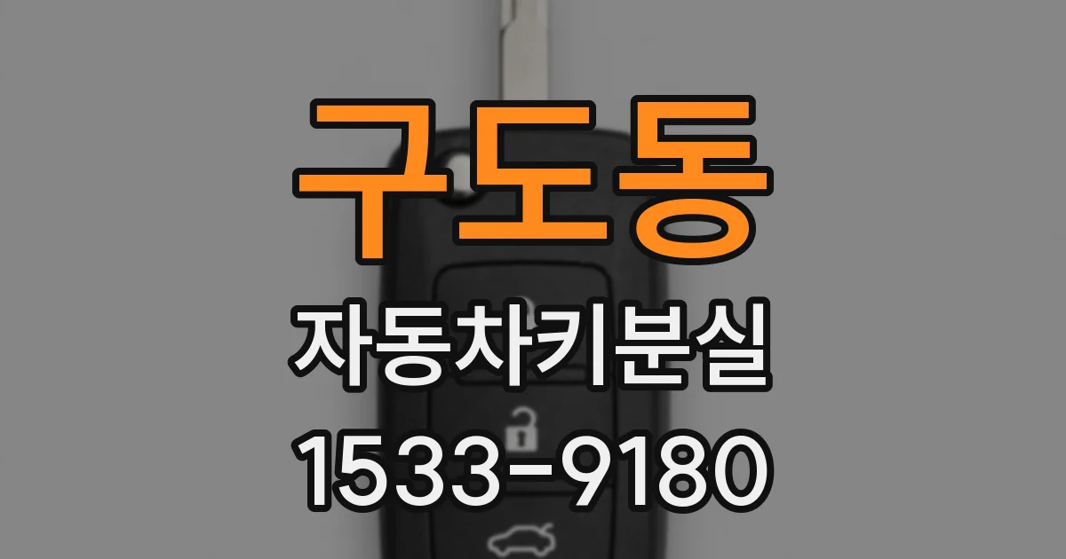 구도동 자동차키분실