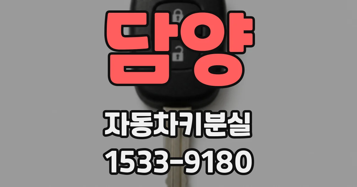 담양 자동차키분실