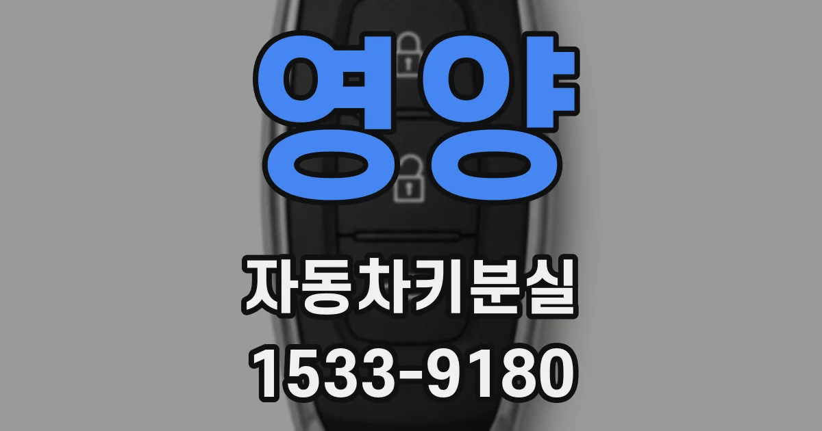 영양 자동차키분실