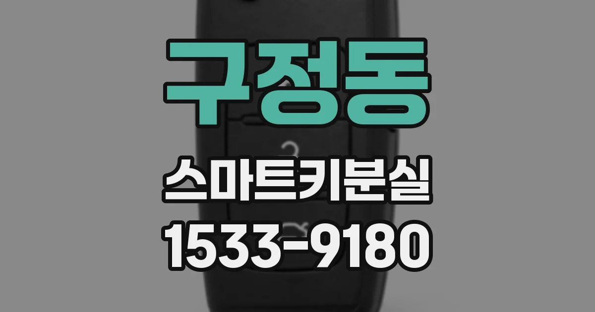 구정동 스마트키분실