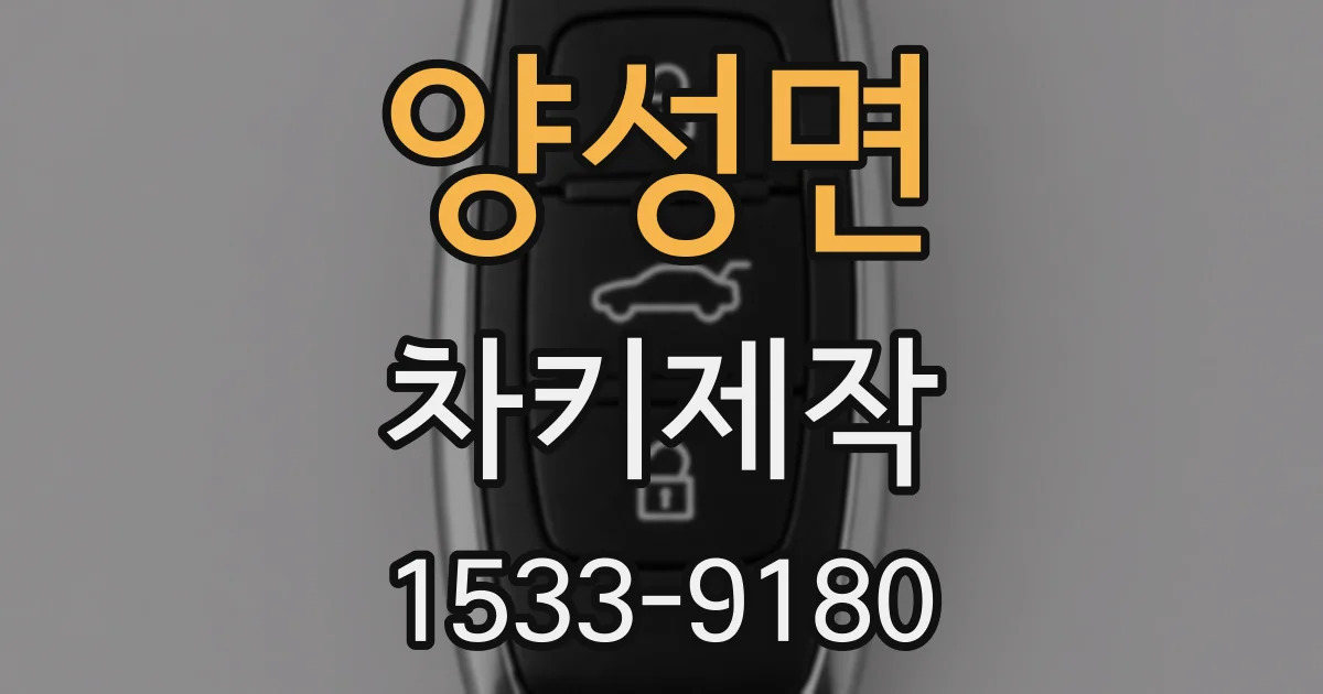 양성면 차키제작