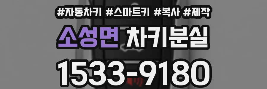 소성면 차키분실