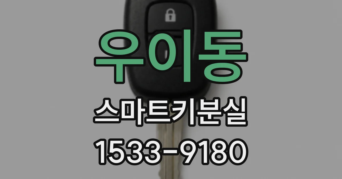 우이동 스마트키분실