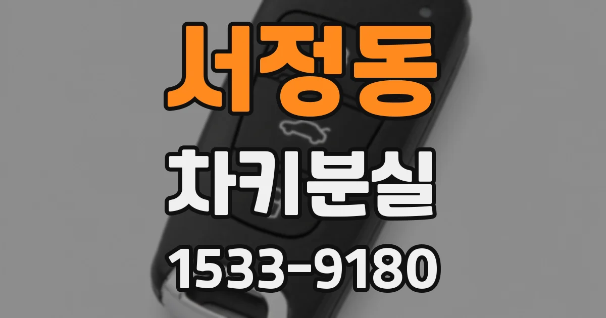 서정동 차키분실