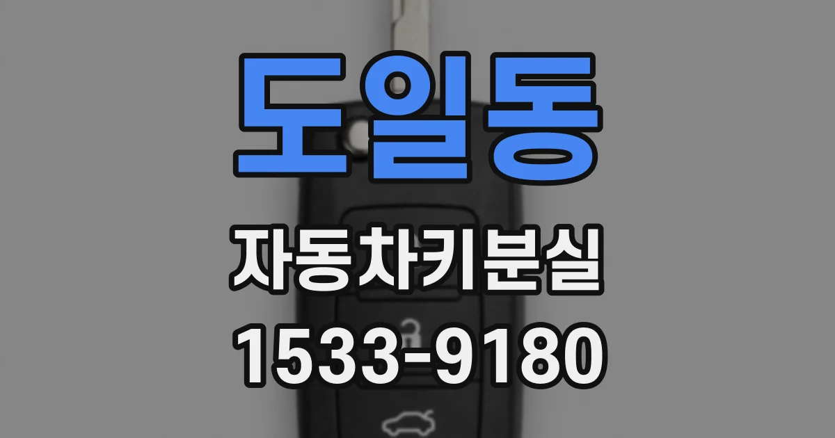 도일동 자동차키분실