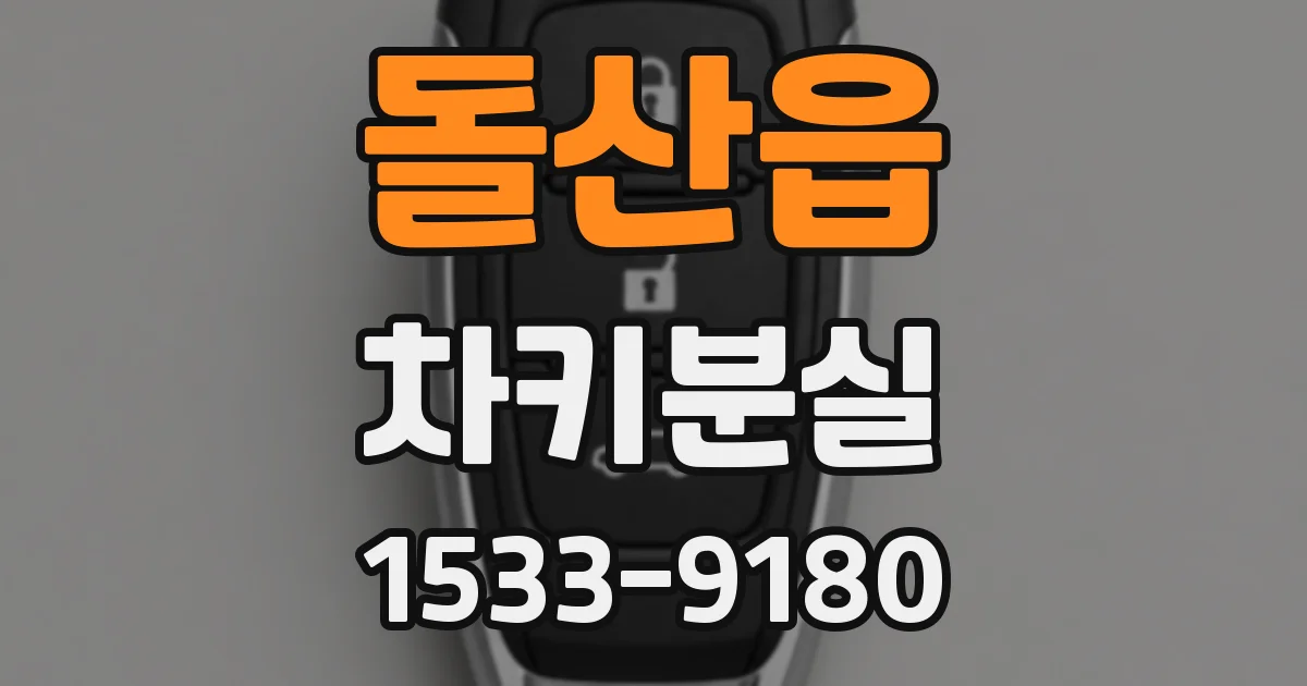 돌산읍 차키분실