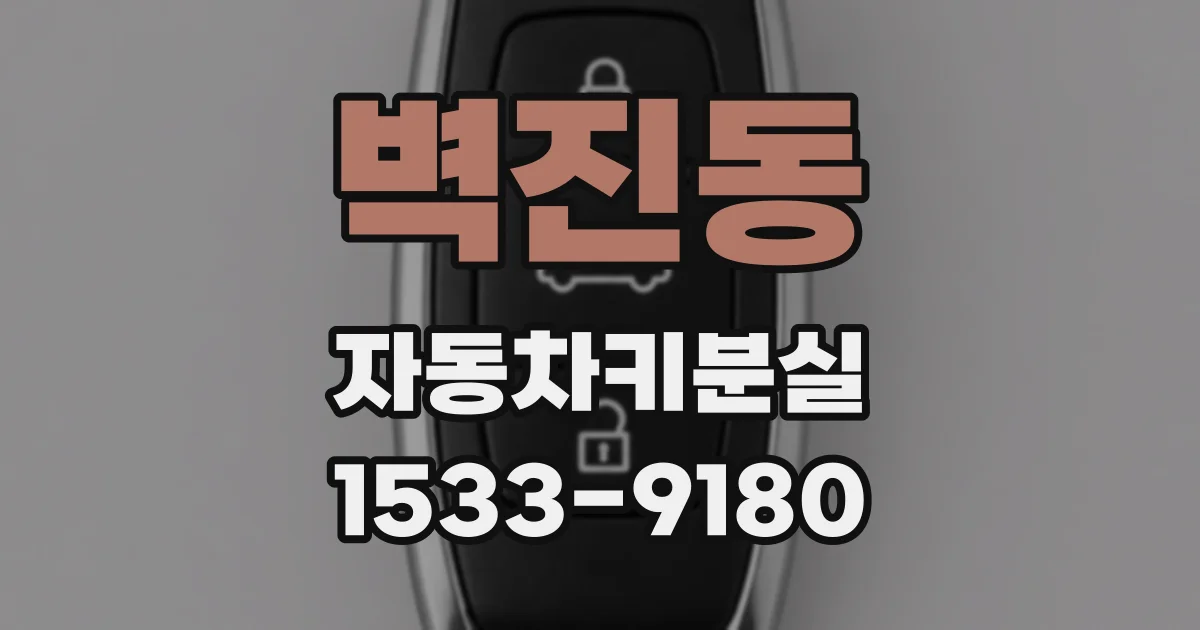 벽진동 자동차키분실