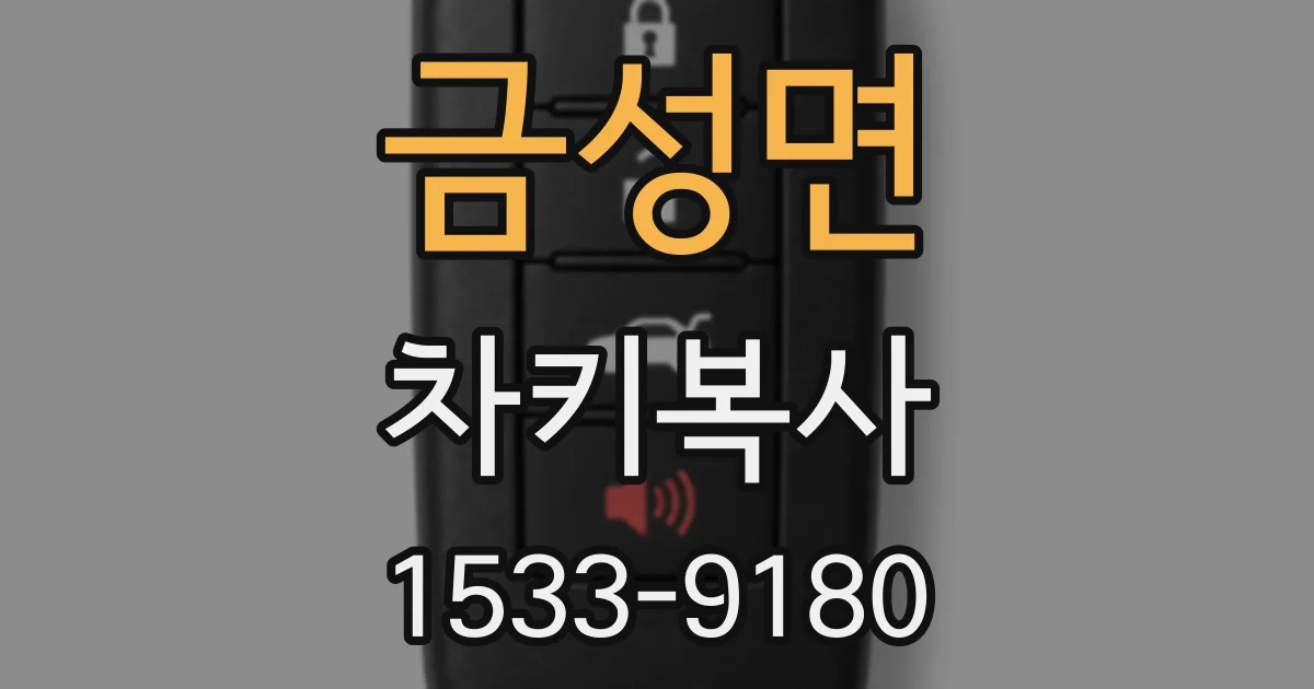 금성면 차키복사