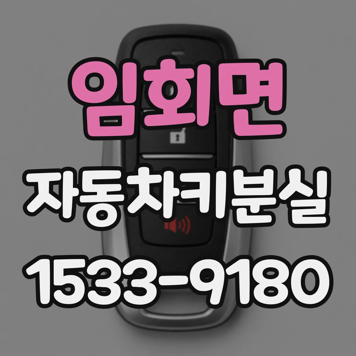 임회면 자동차키분실