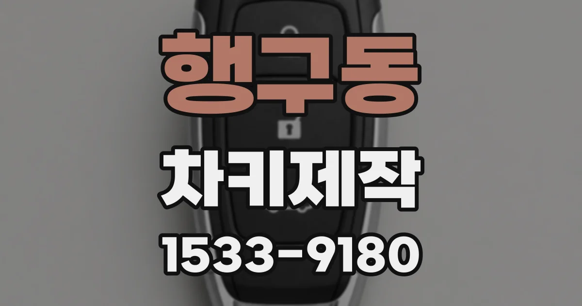 행구동 차키제작