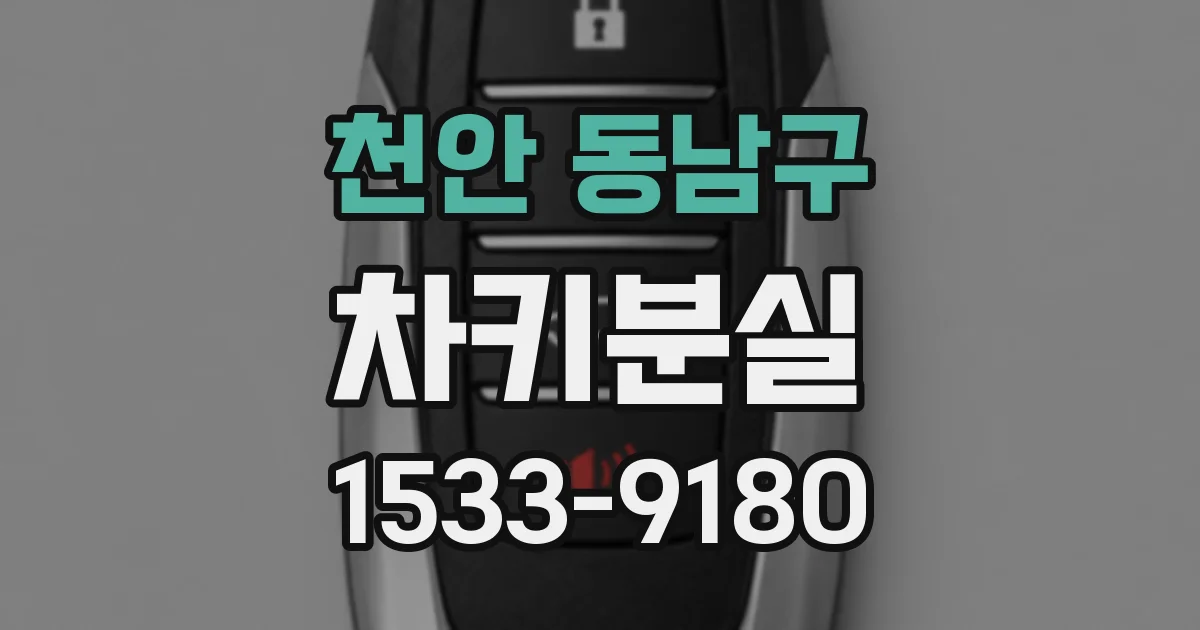 천안 동남구 차키분실