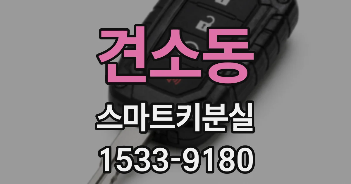 견소동 스마트키분실