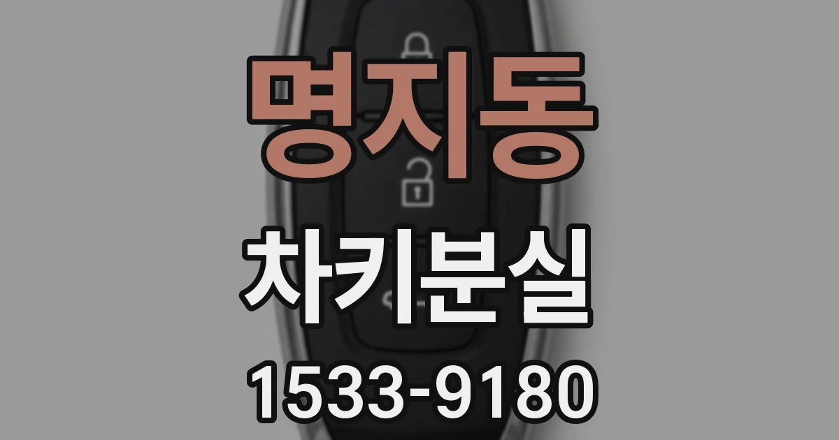 명지동 차키분실