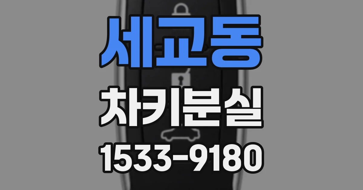 세교동 차키분실