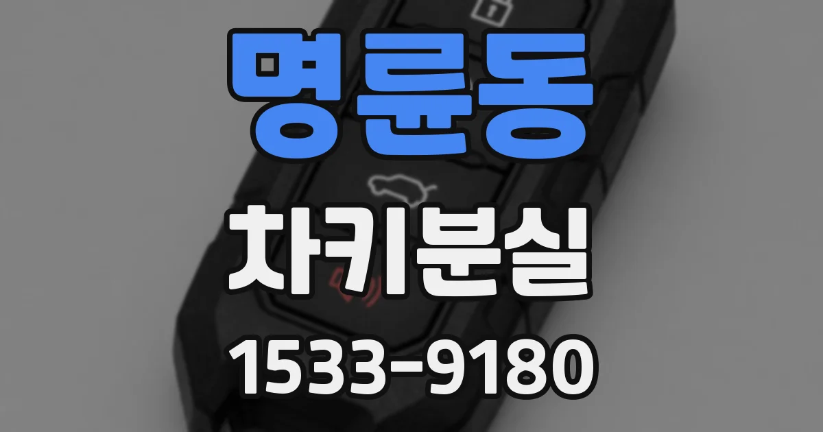 명륜동 차키분실