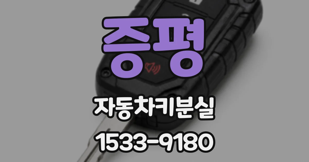 증평 자동차키분실