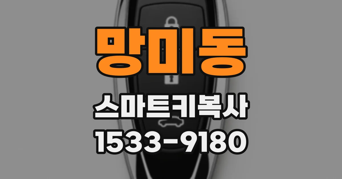 망미동 스마트키복사