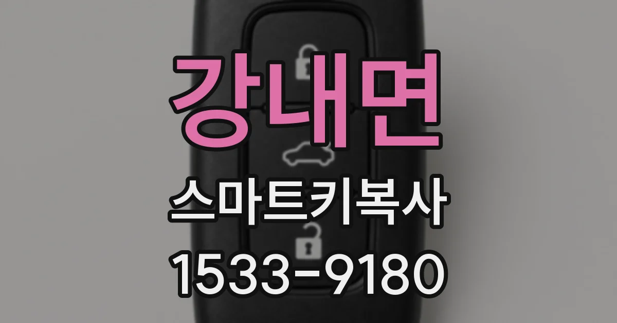 강내면 스마트키복사