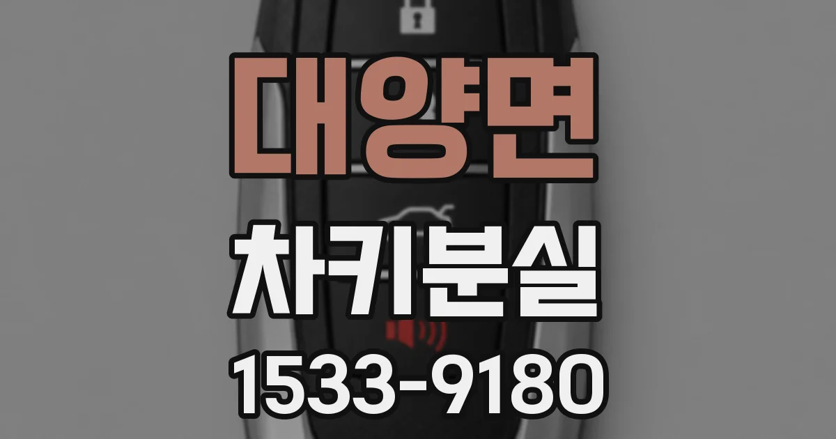 대양면 차키분실