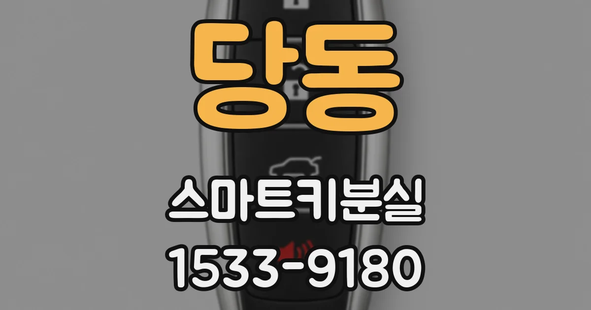 당동 스마트키분실
