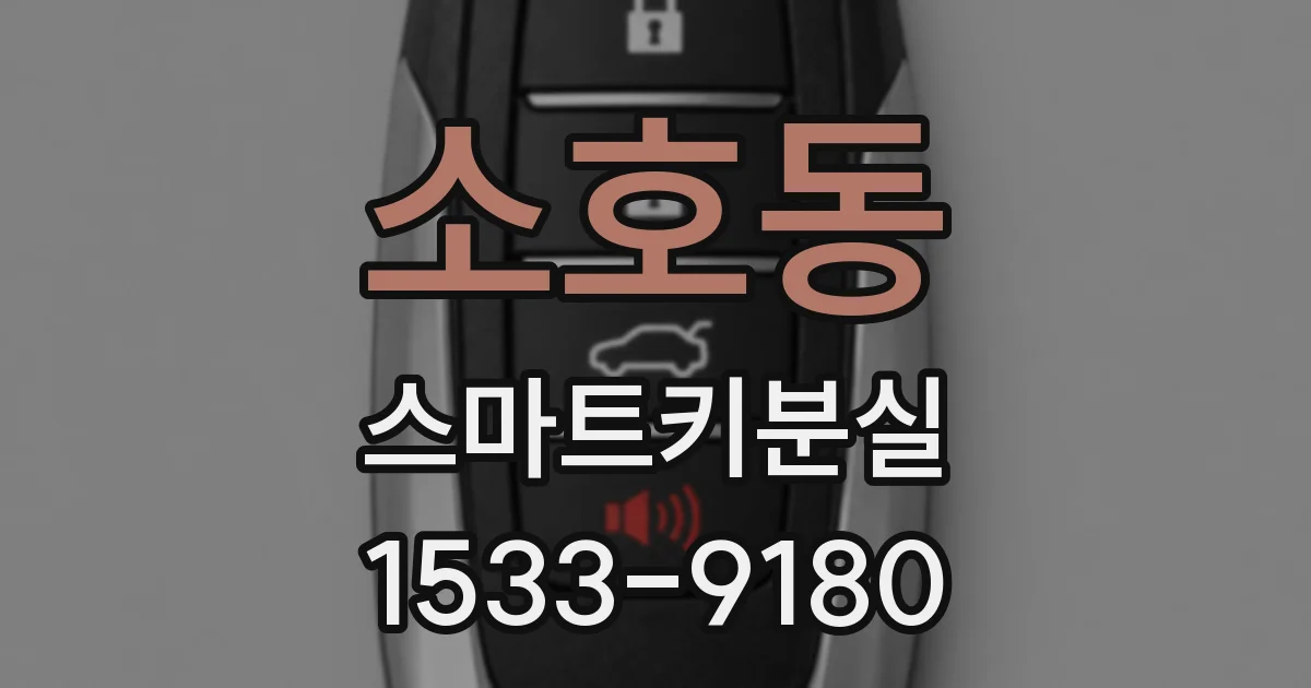 소호동 스마트키분실