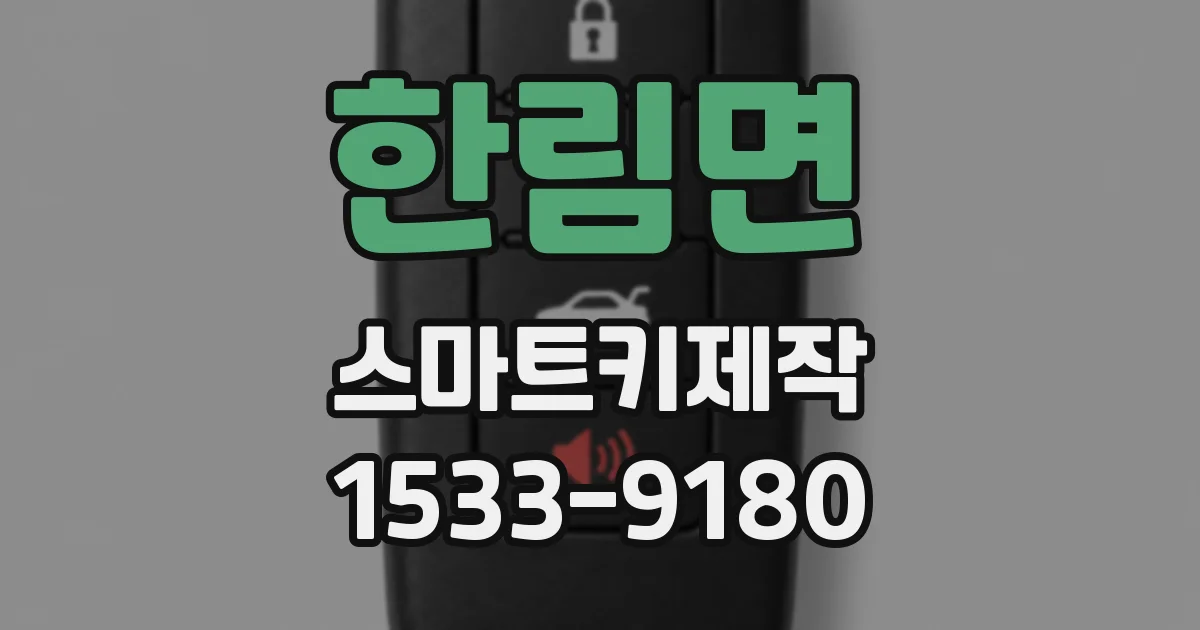 한림면 스마트키제작