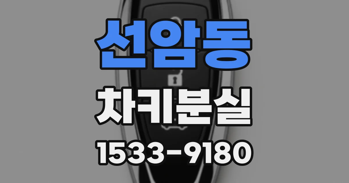 선암동 차키분실